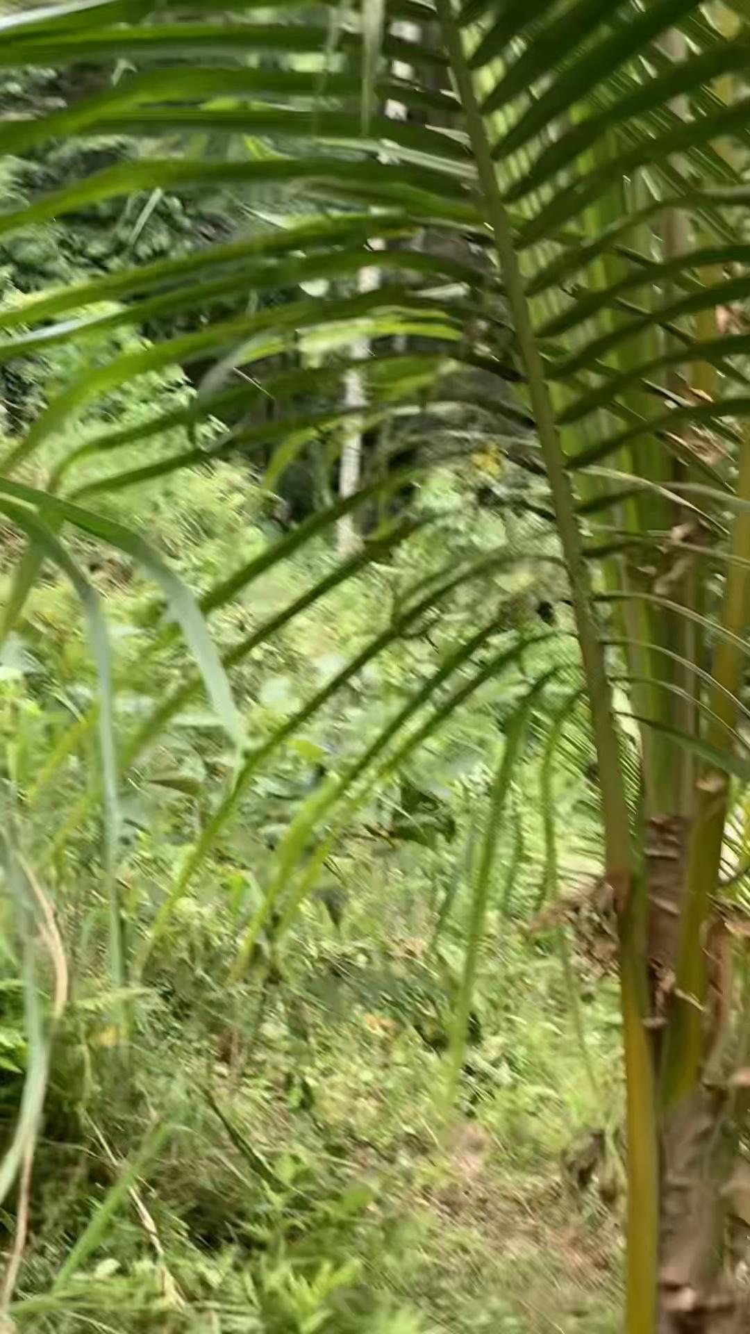 @Jibbydigan