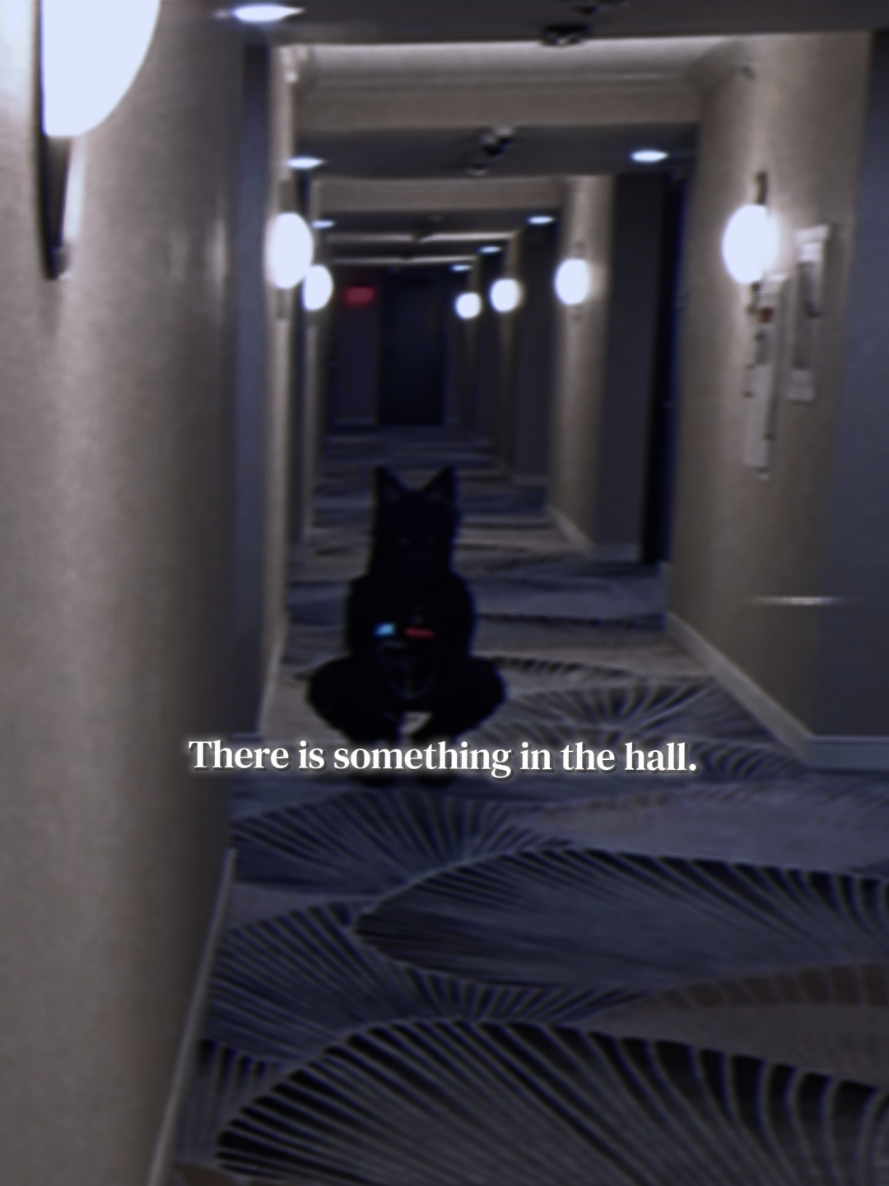 @Grimm