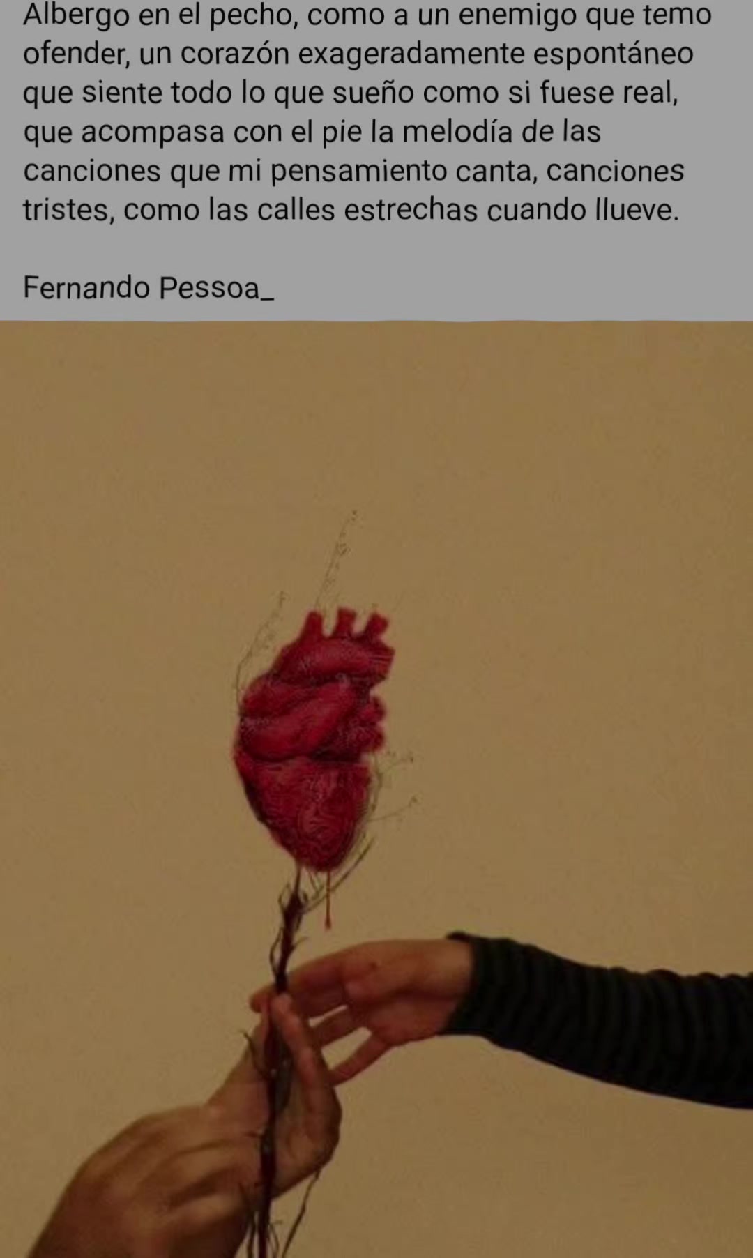 @Chema Camacho
