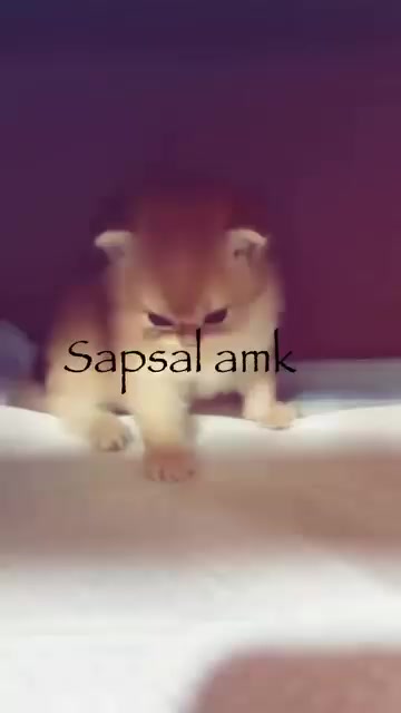 @poser_baskani4