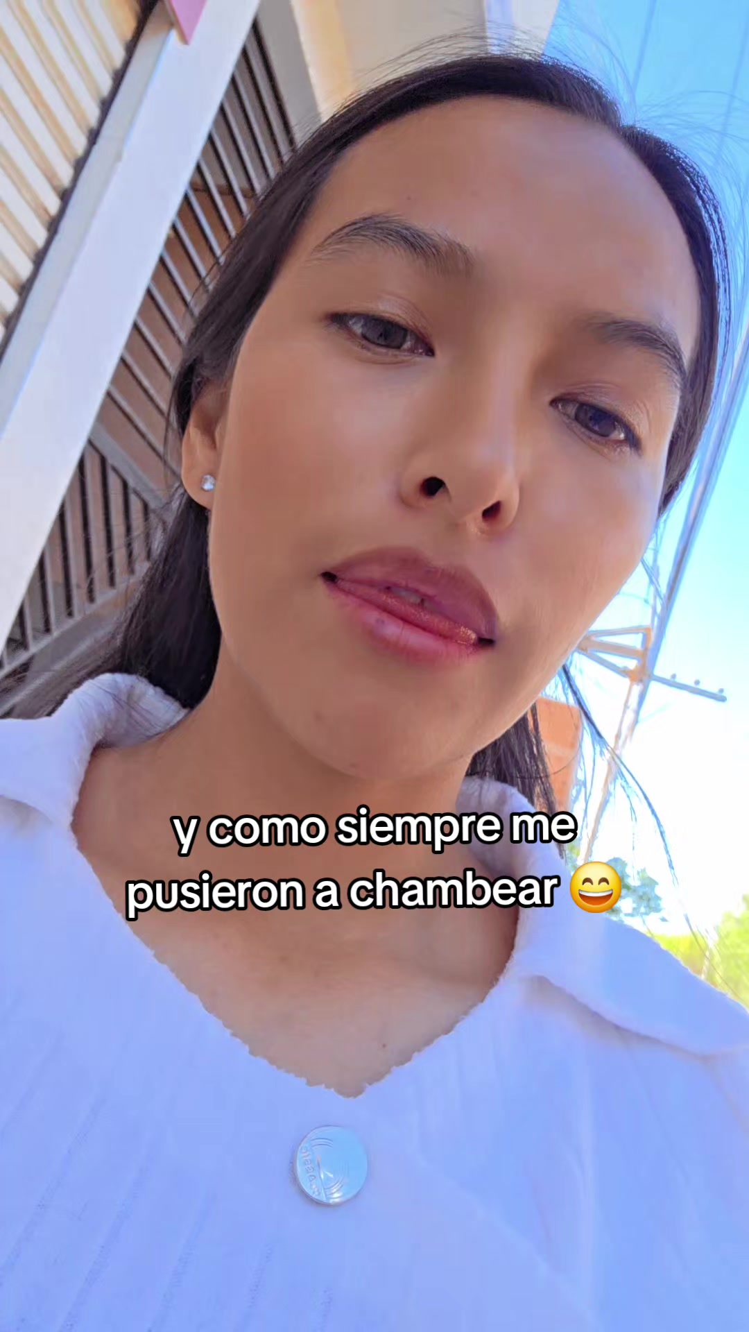 @Mister Pollo