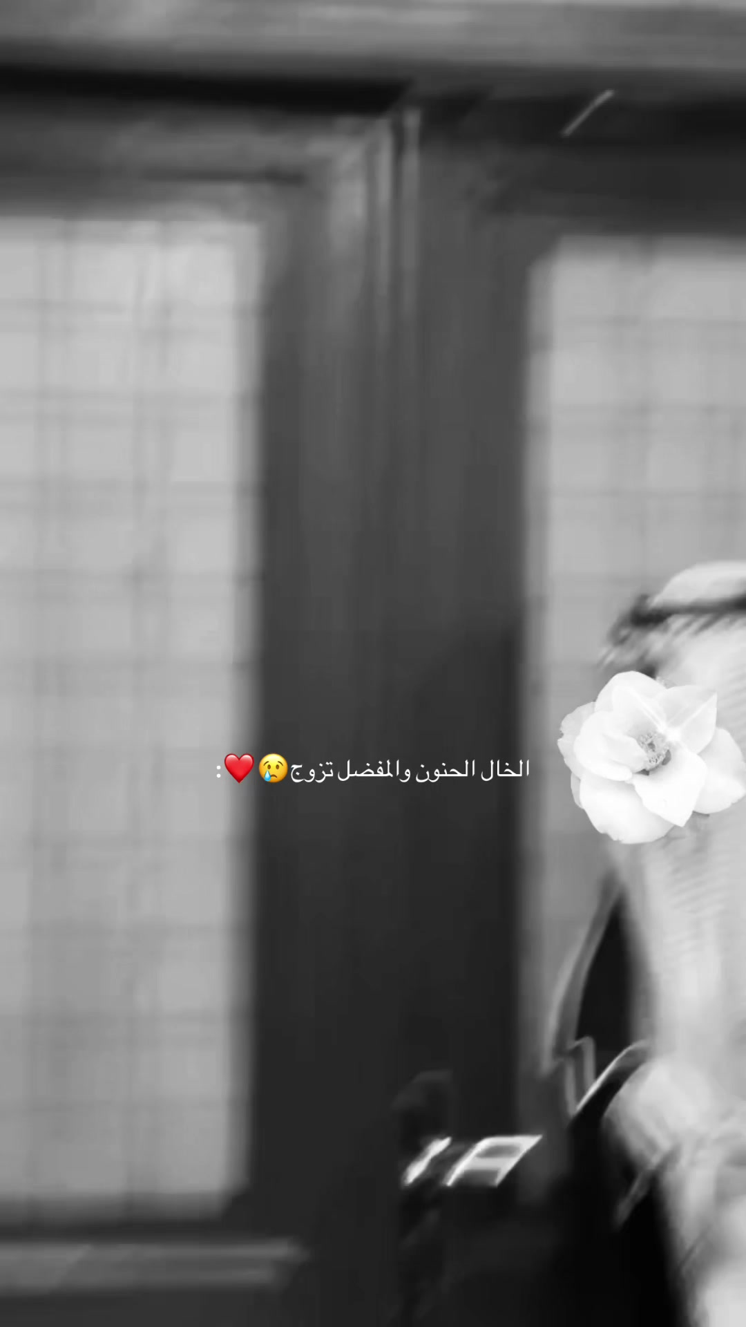 @ARWA🪄