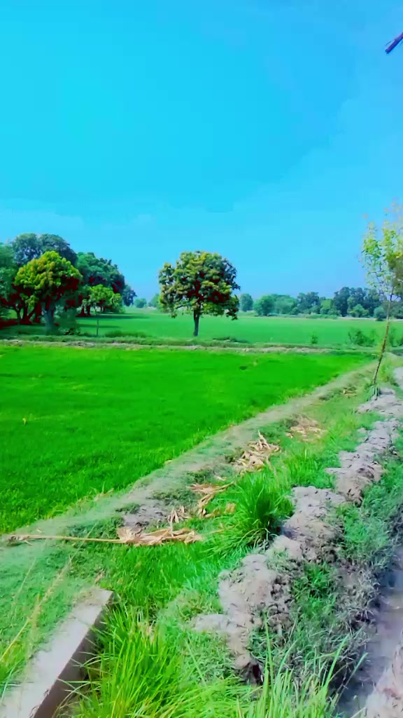 @Rehan Qureshi302