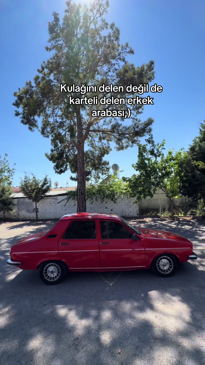 @efegurbuzsen_33