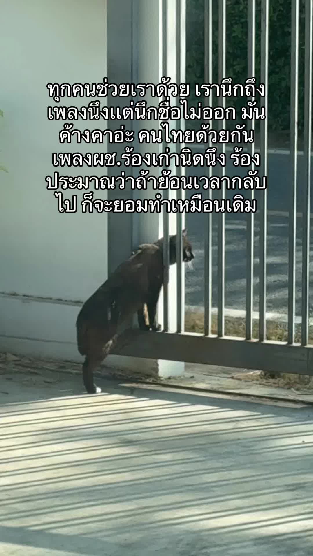 @Winey