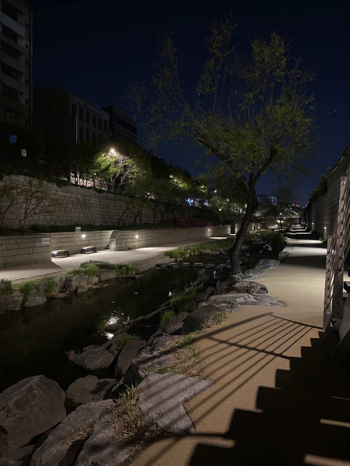 @۶ৎ 🦢🤍 𝐁𝐞𝐨𝐦𝐬𝐞𝐨𝐤 🩶🦢