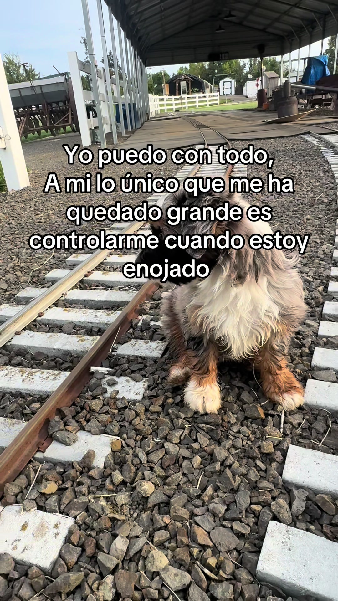 @⚜️🍓🪗pablocarbajal63🪗🍓⚜️