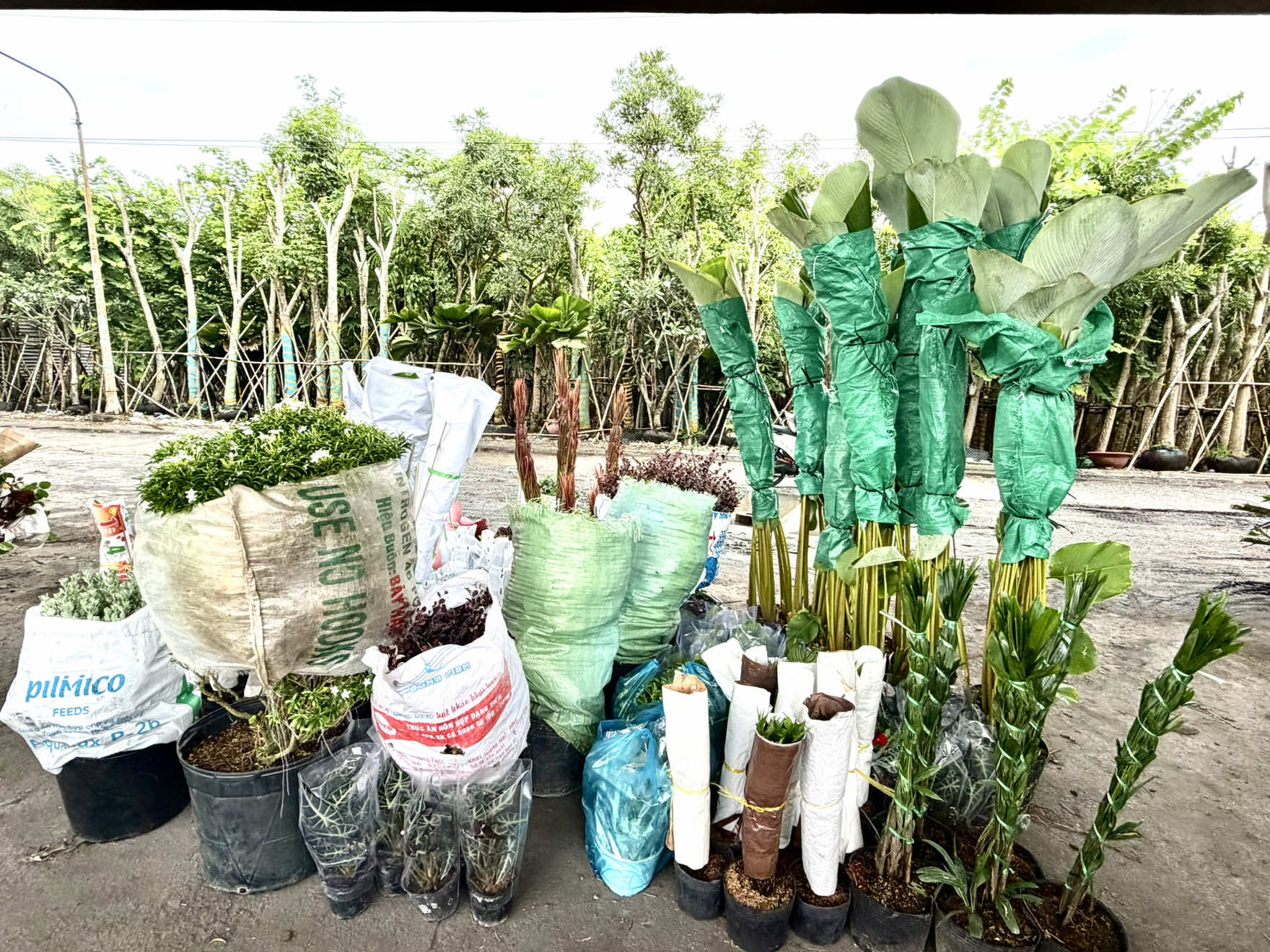 @Tiệm Lá Nhỏ