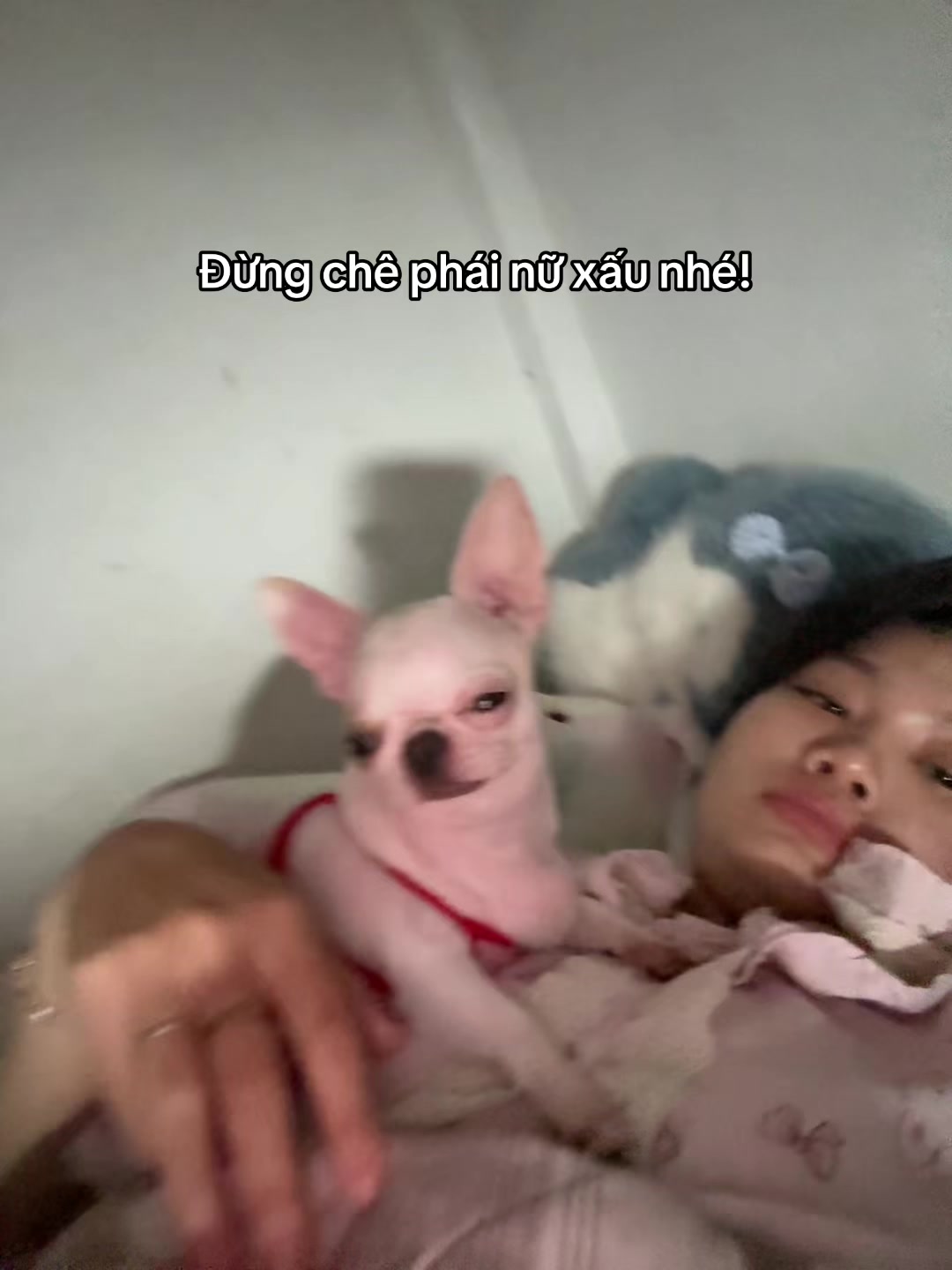 @L&uacute;n L&egrave;👽