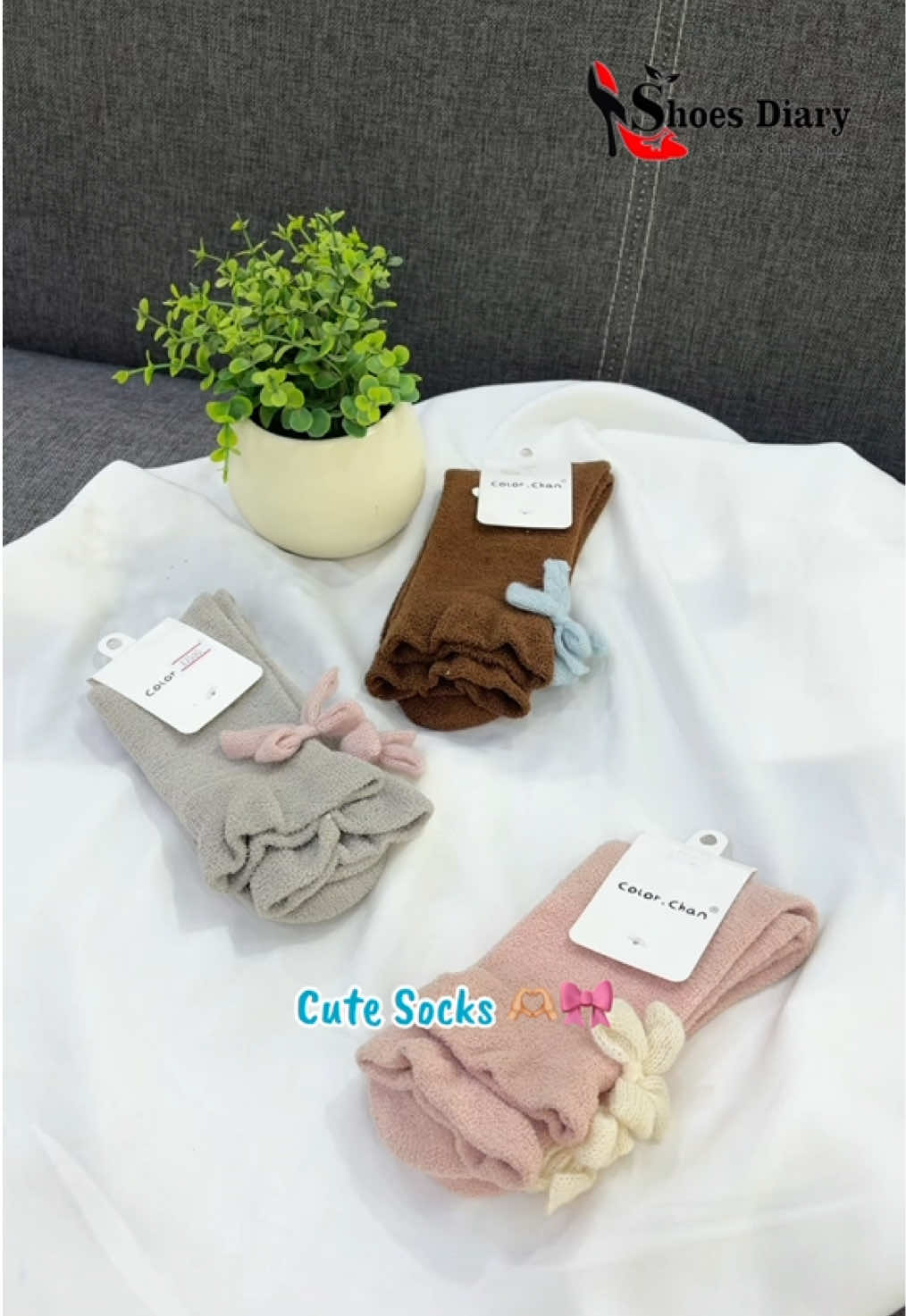 @Shoes Diary