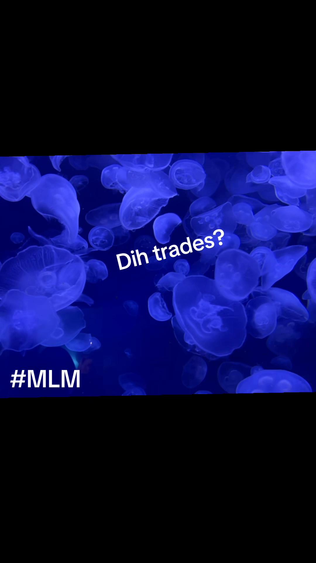 @Mlm trade 41🔃