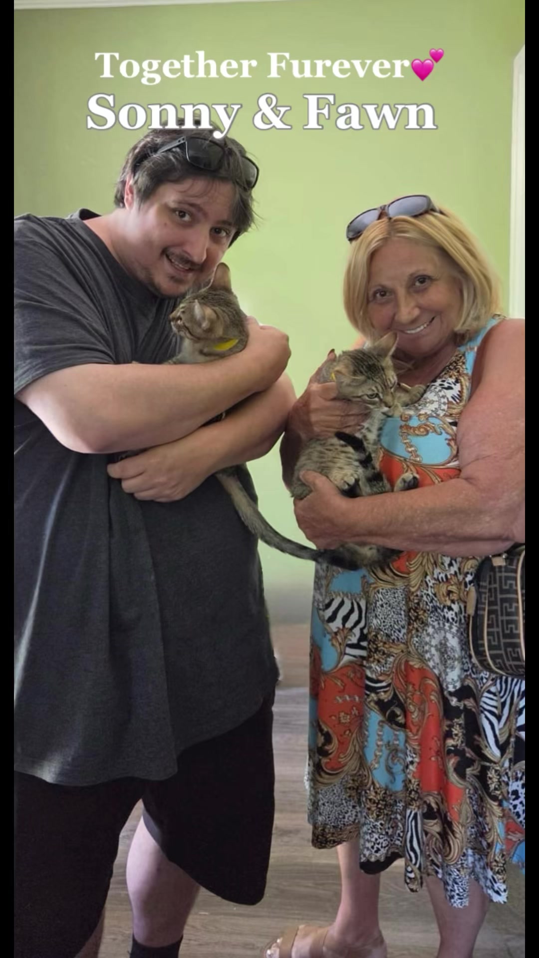 @North Toronto Cat Rescue