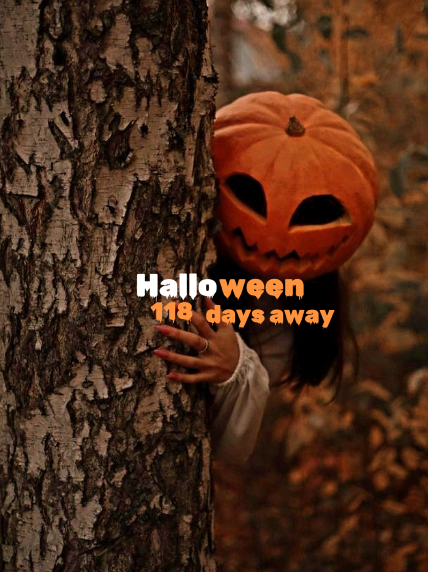 @Christmas & Halloween Finds