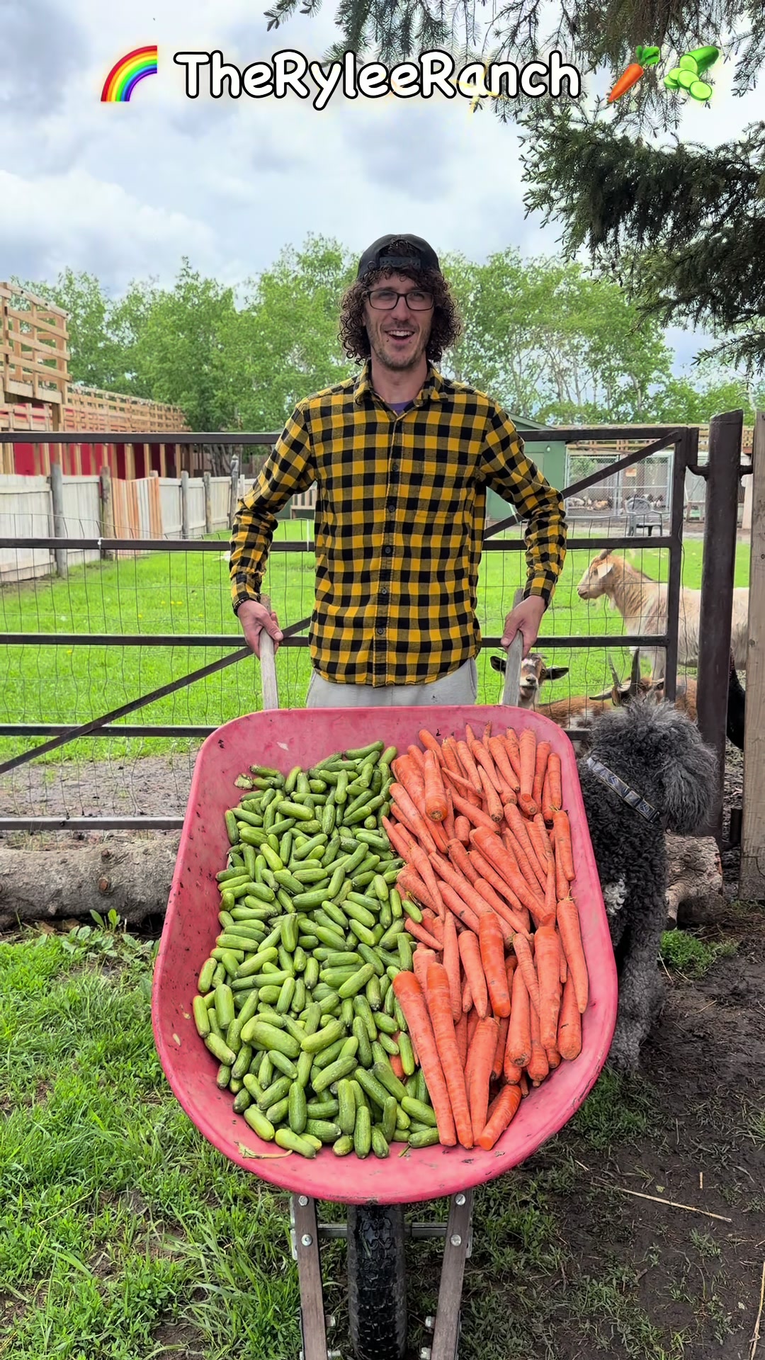 @RyleeRanch