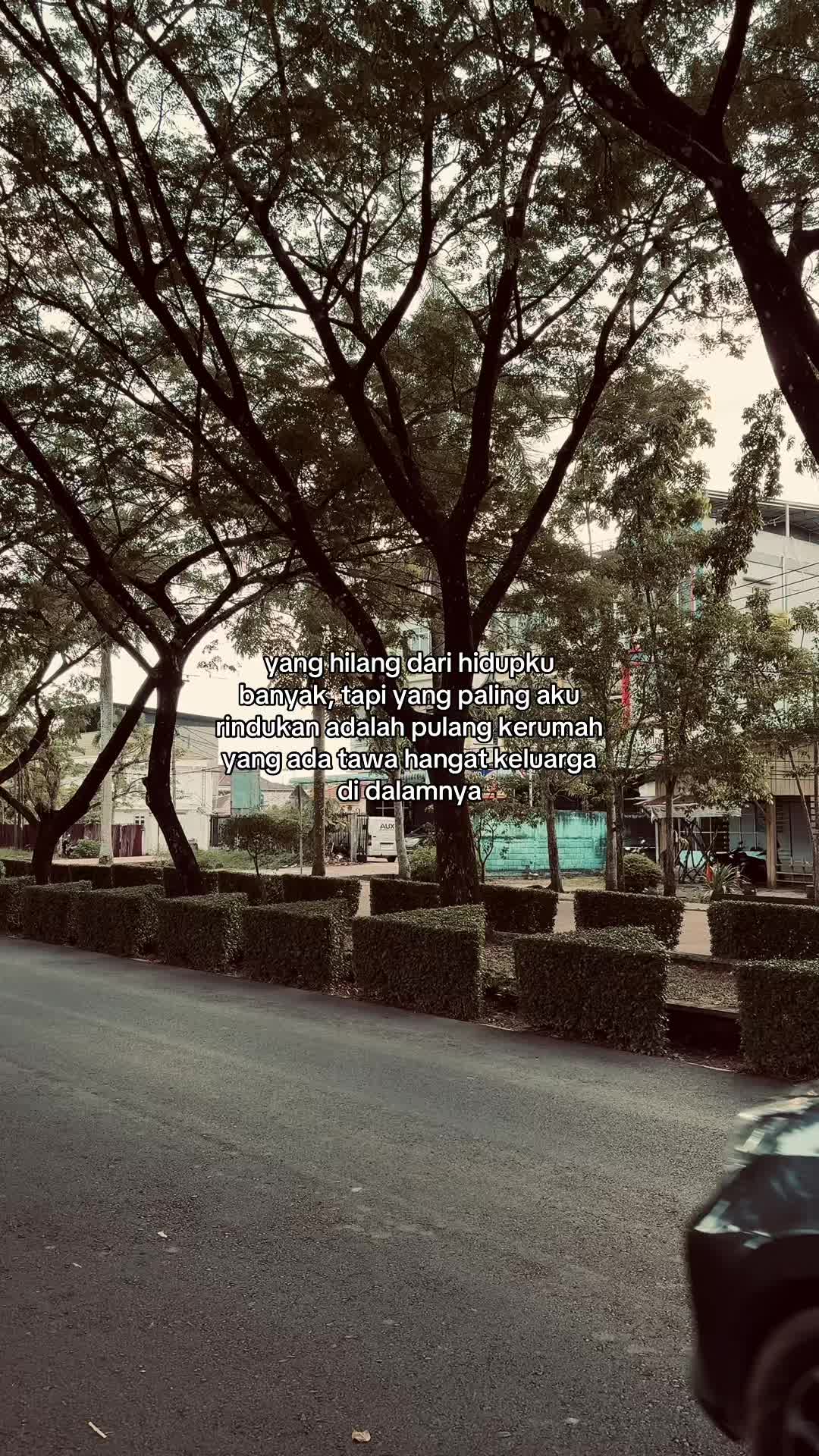 @Story Lonely