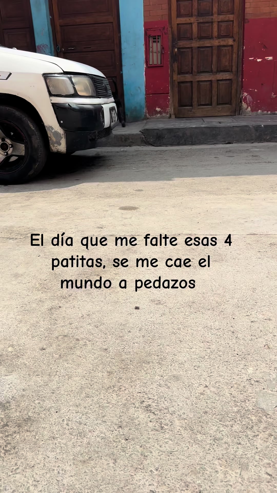 @Rosaquispe3092