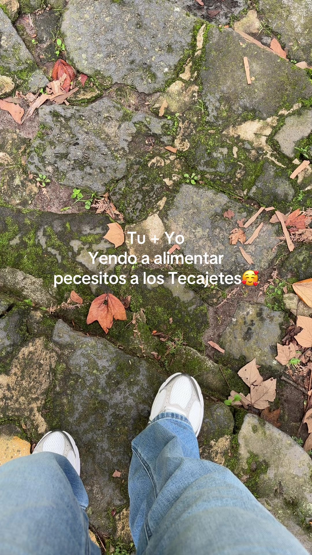 @𝓘𝓽𝔃𝓮𝓵 𝓖🦋