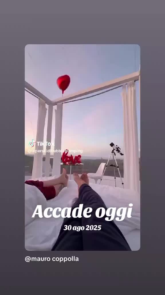@veronica vitale