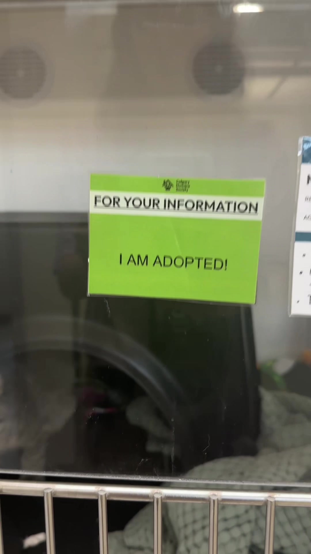 @Calgary Humane Society