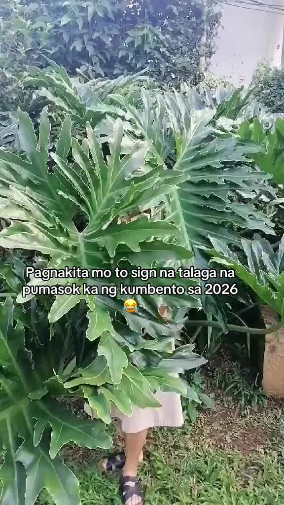@Belle La