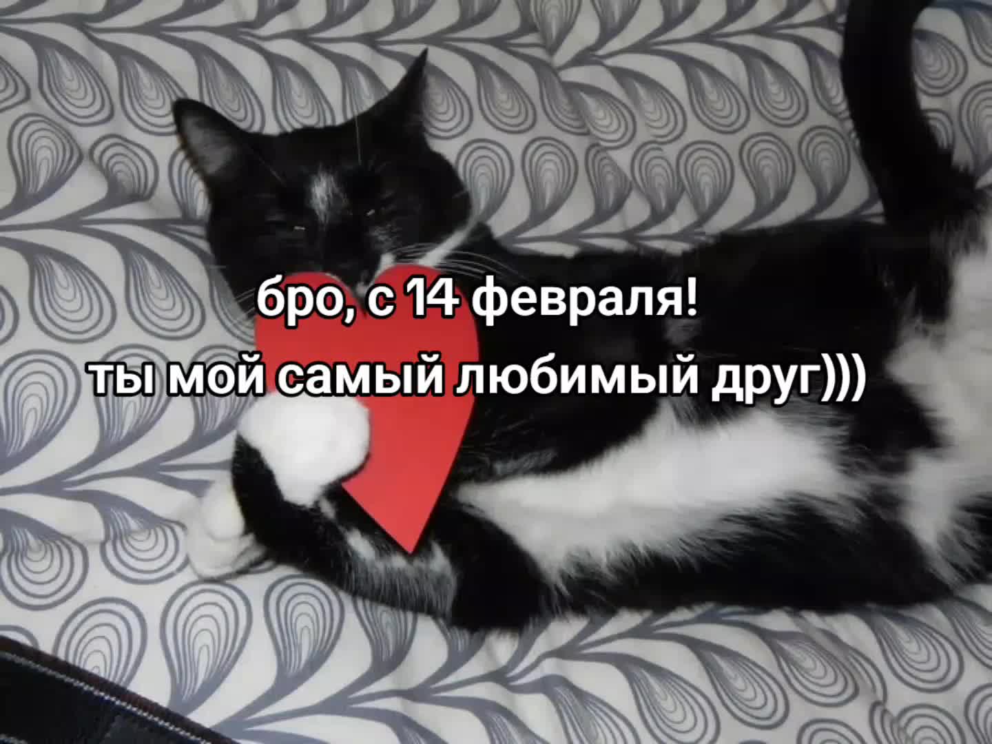 @$ ᴡᴇʟᴡᴇᴛ $