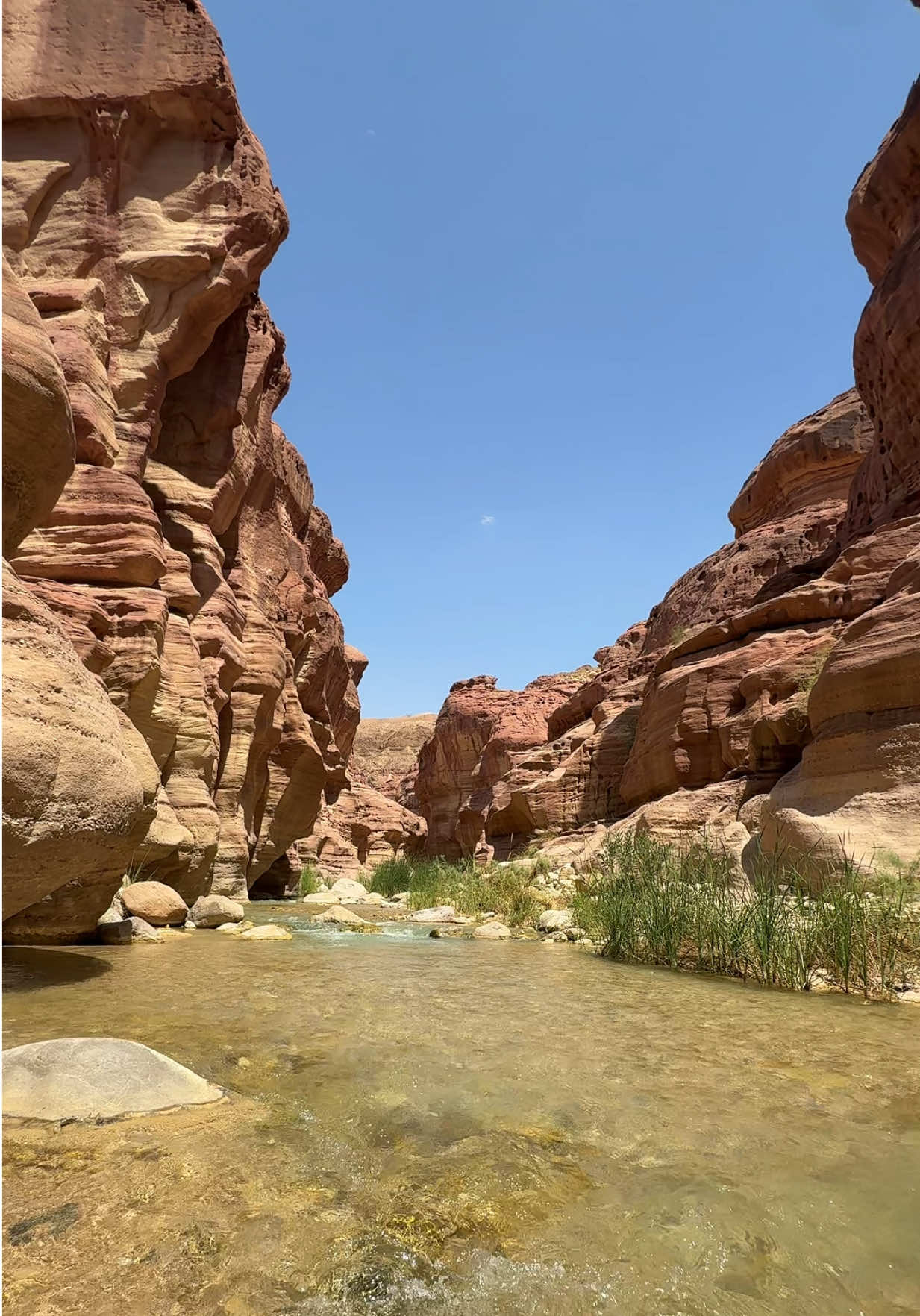 @Leen Wadi