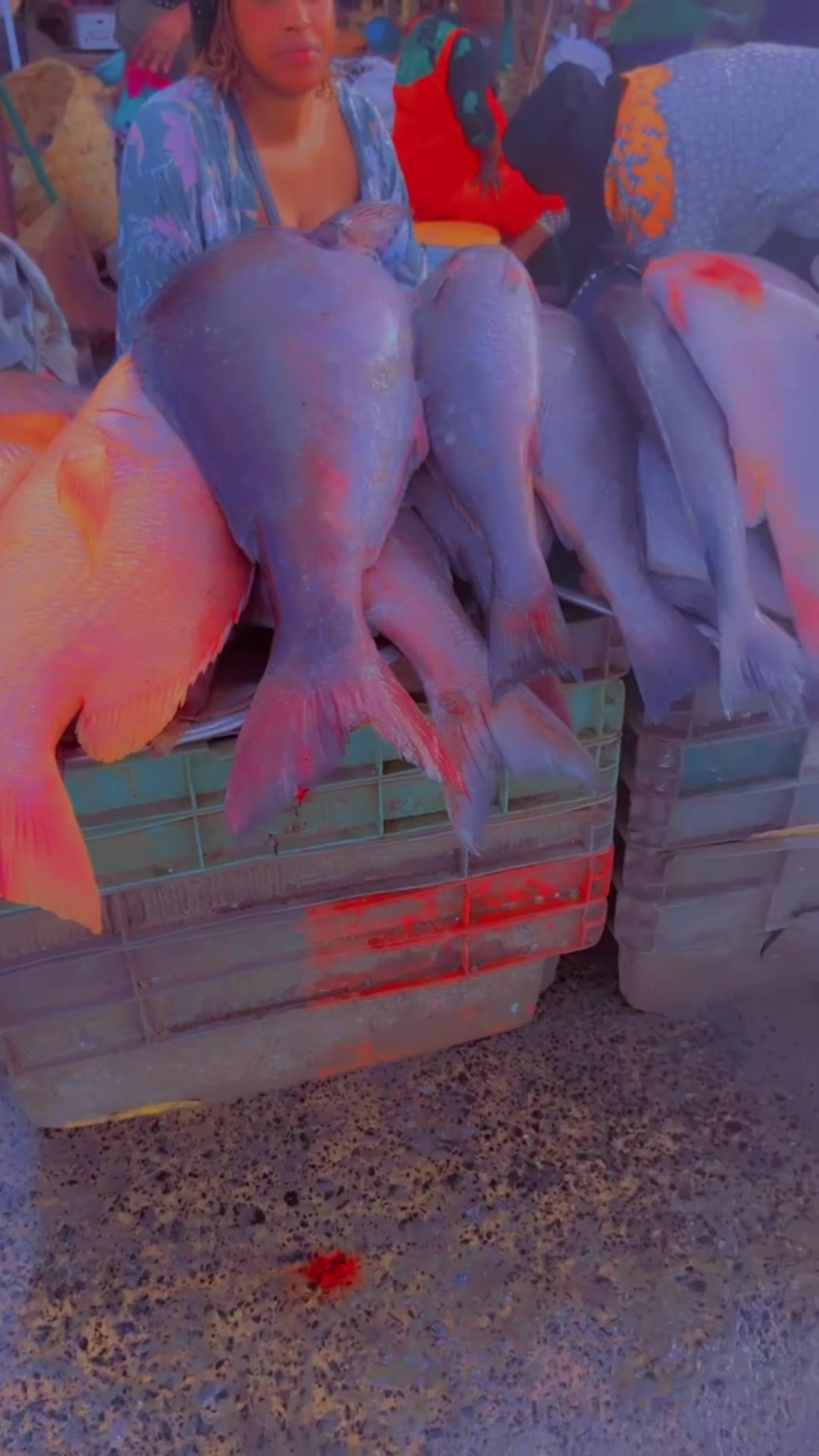 @Mounass poisson