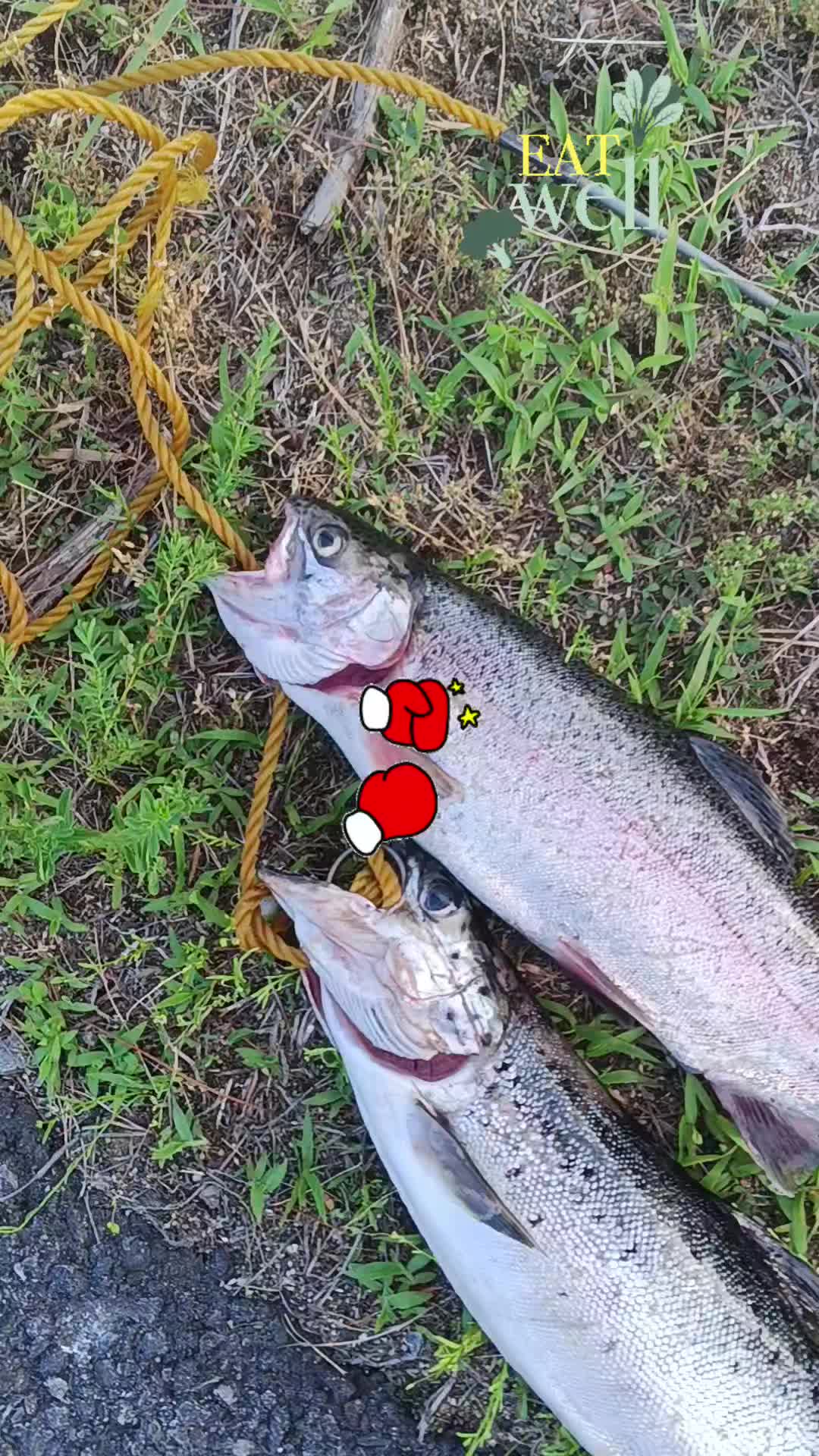 @Carlos Pagan