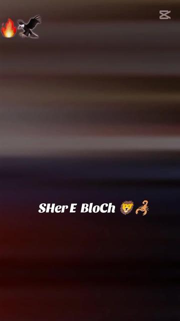 @Abdul Rehman 008🔵