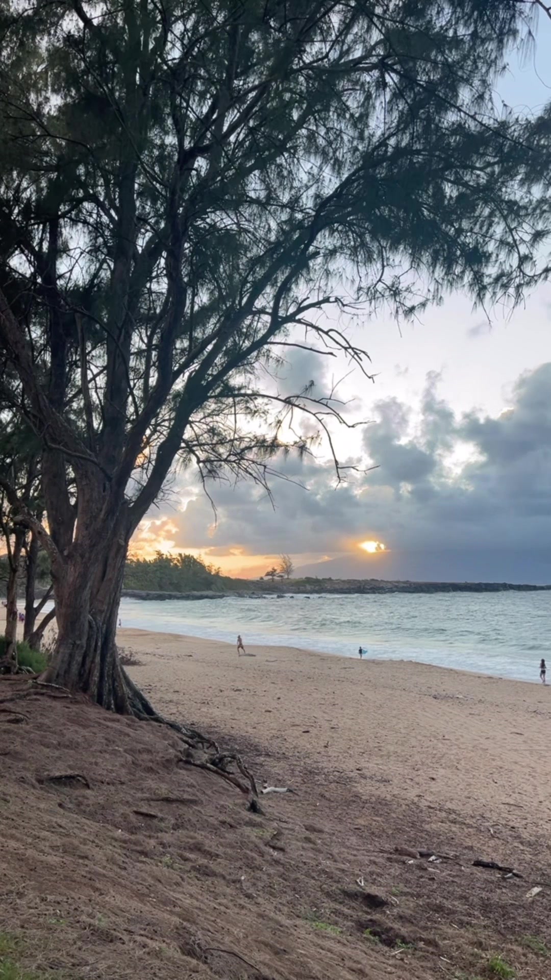 @TAY 𖤓 MAUI PHOTOGRAPHER