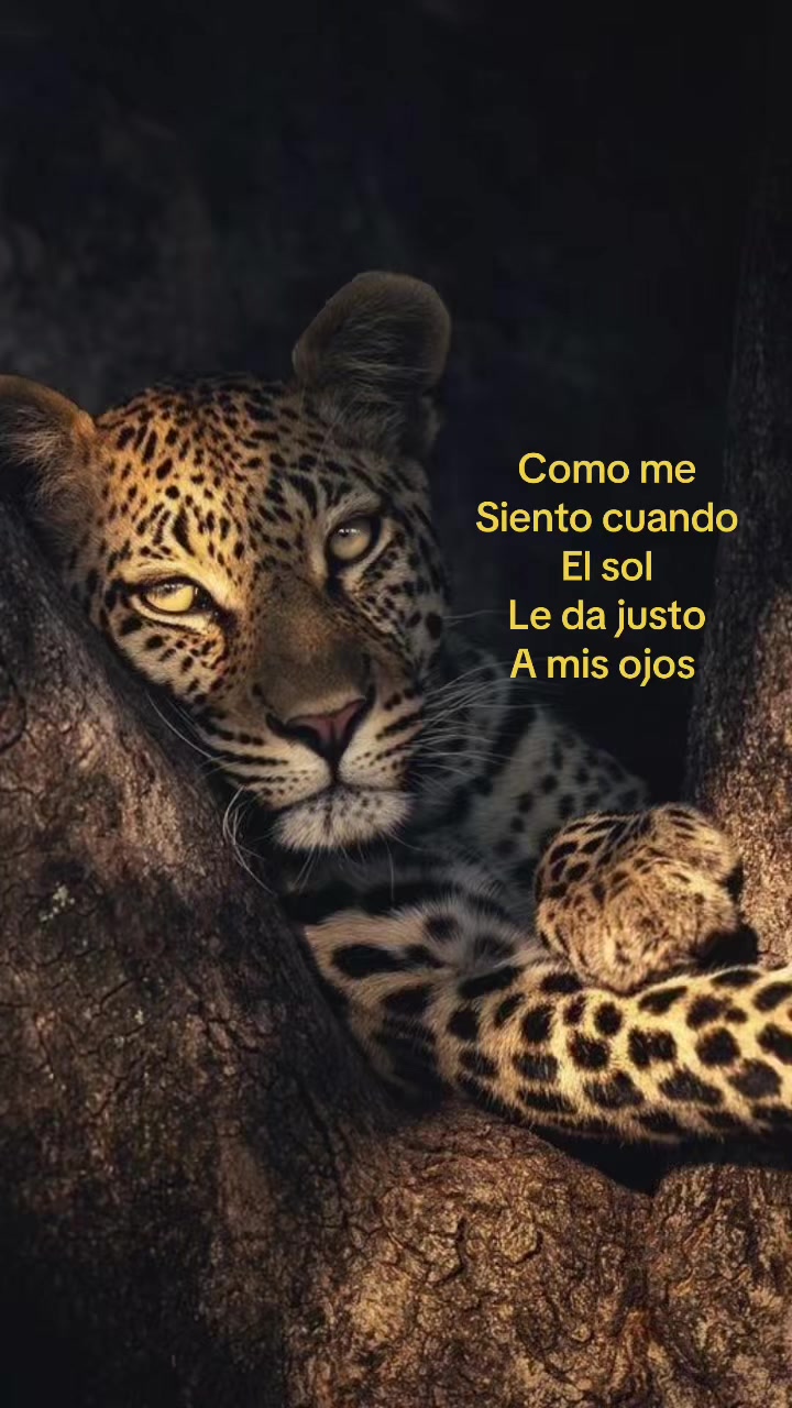 @SoyMiri