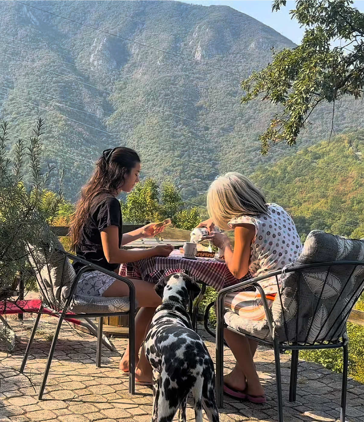 @Dunja