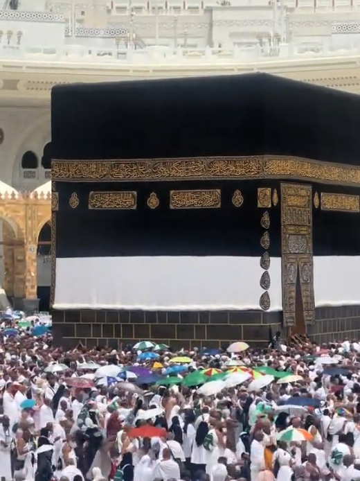 @Muhammad Yameen💫🕋🤲♥️