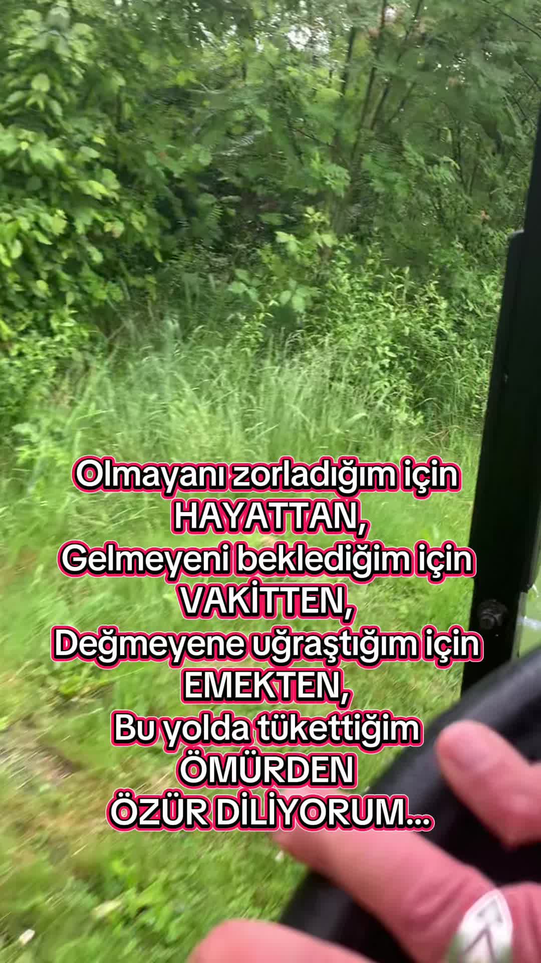 @Biricik Habby
