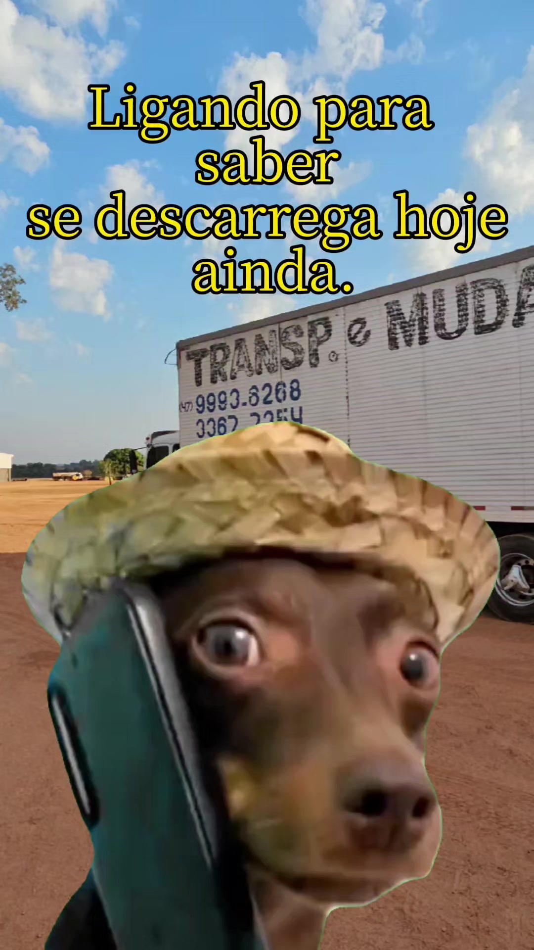 @Wilson Zagonel