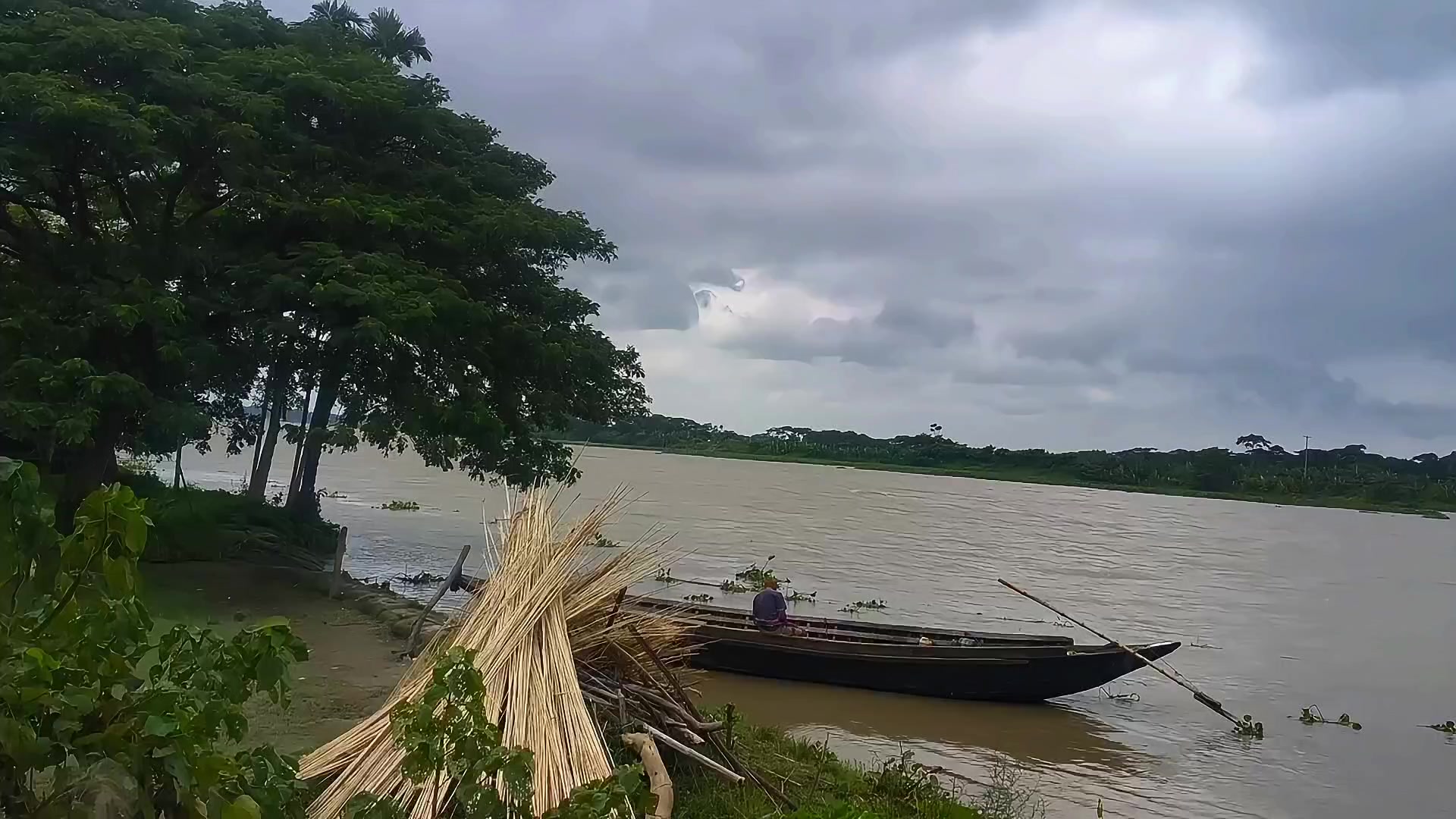 @🍃🕊️ ”প্রকৃতির ছোঁয়া” 🕊️🍃