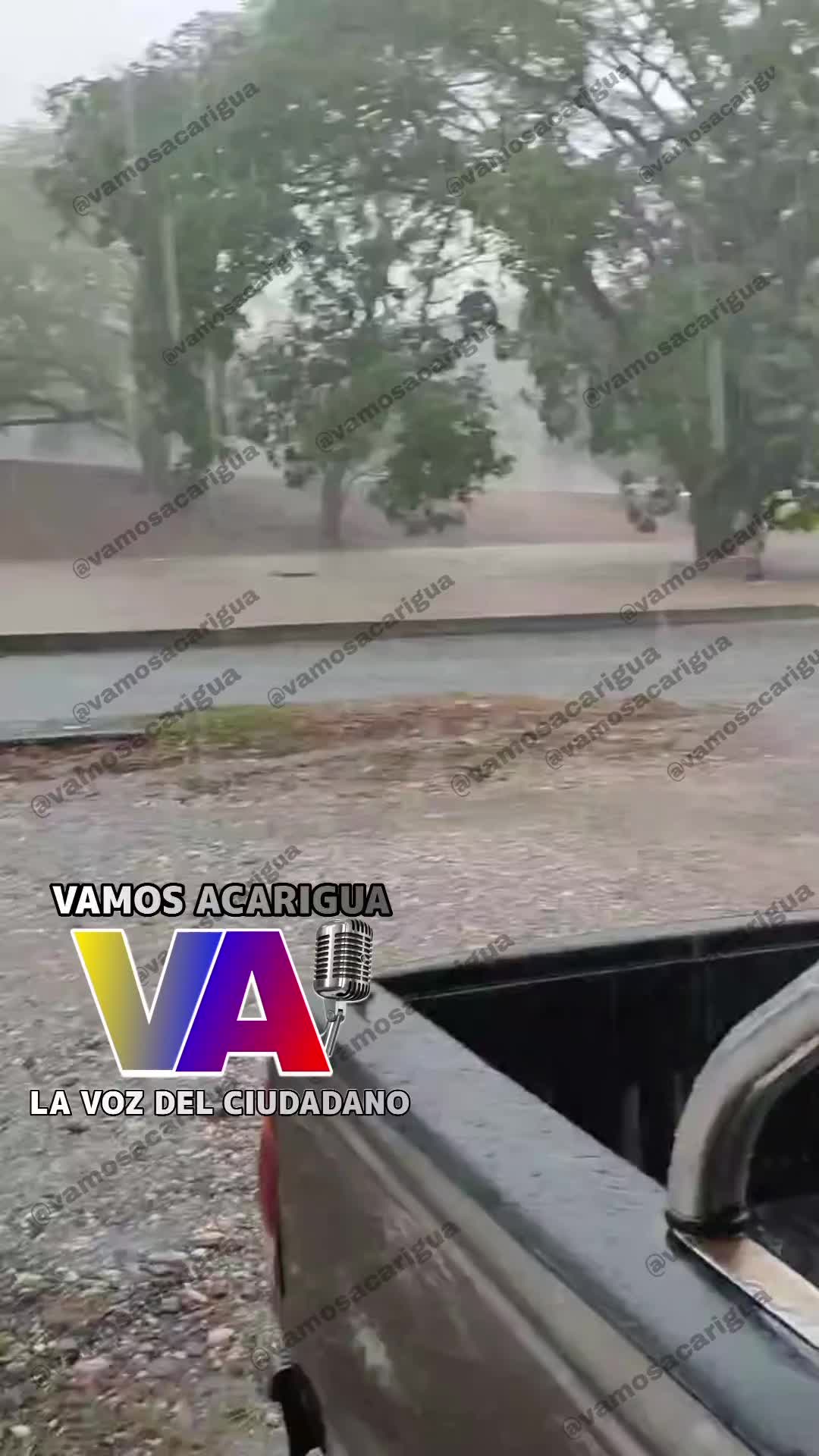 @Vamos Acarigua