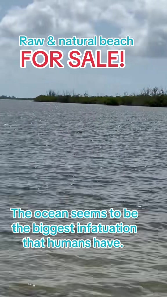 @Florida Land Guy