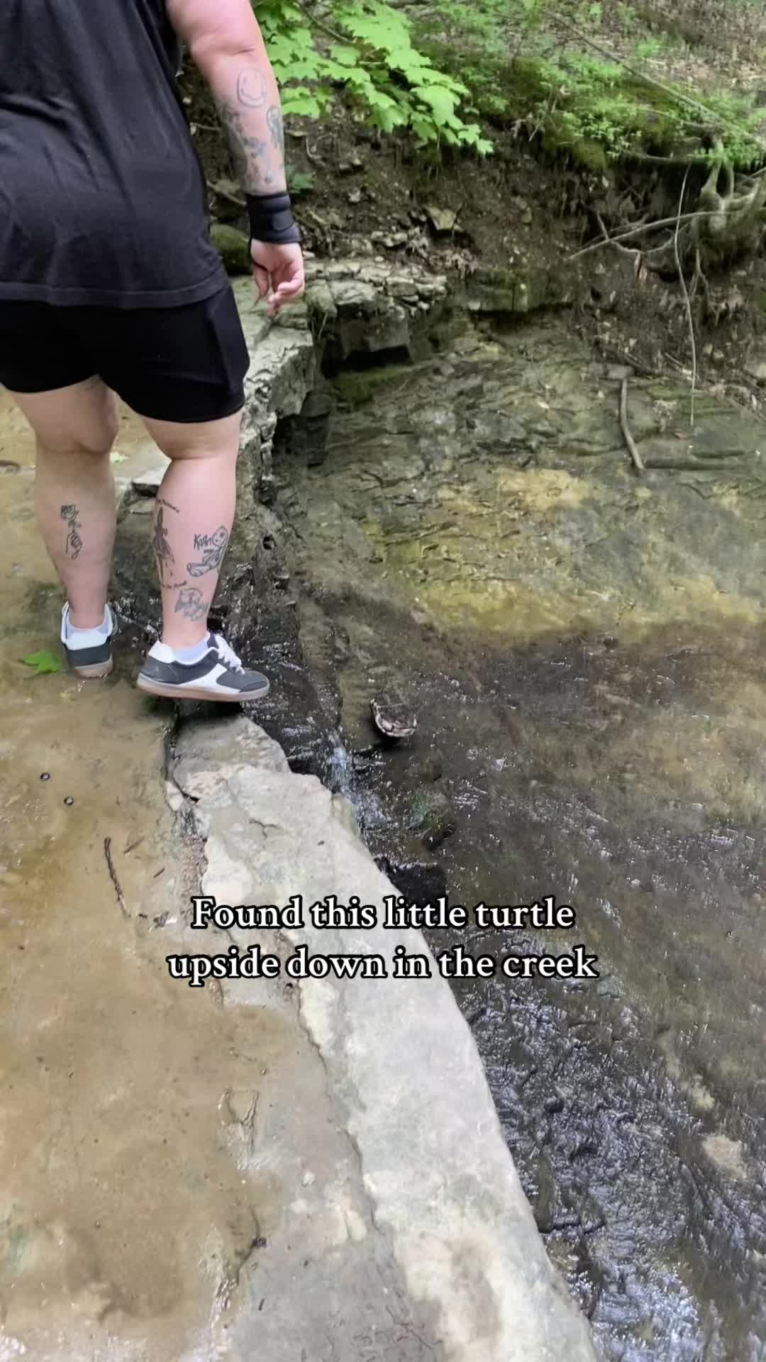 @🎸Hiking Metalhead❌