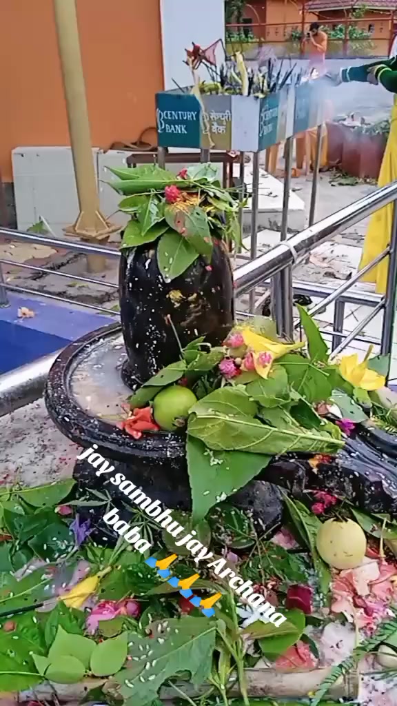 @preeti Rana 543