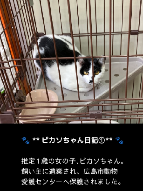 @NPO法人エターナル・ホーム