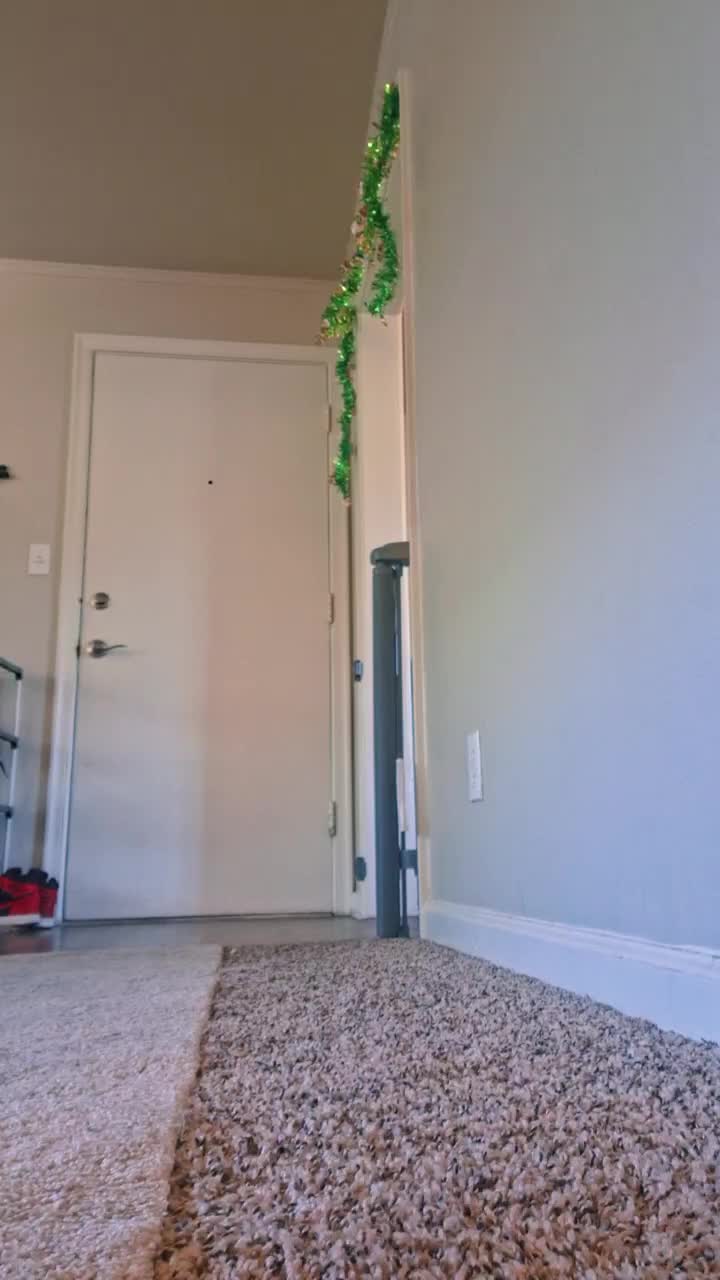 @Sandivel