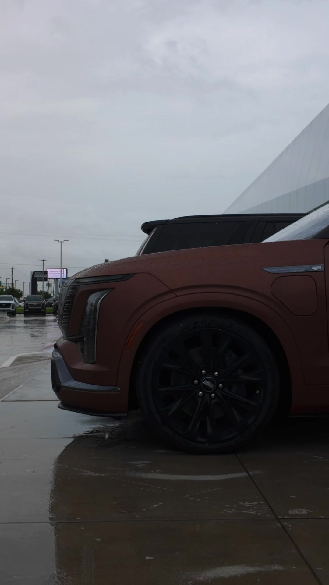 @Cadillac from Ty