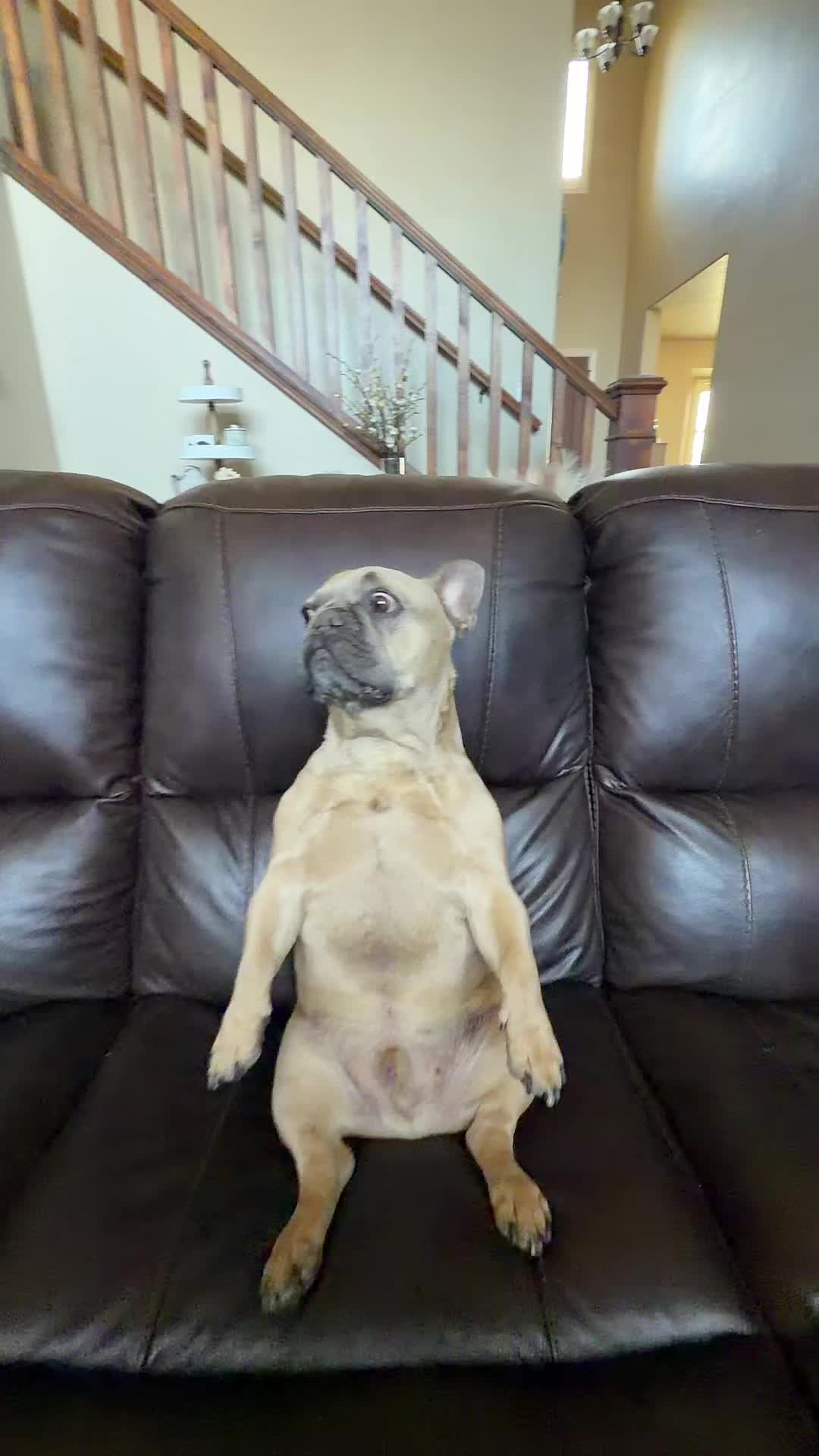 @bentleytheg0at