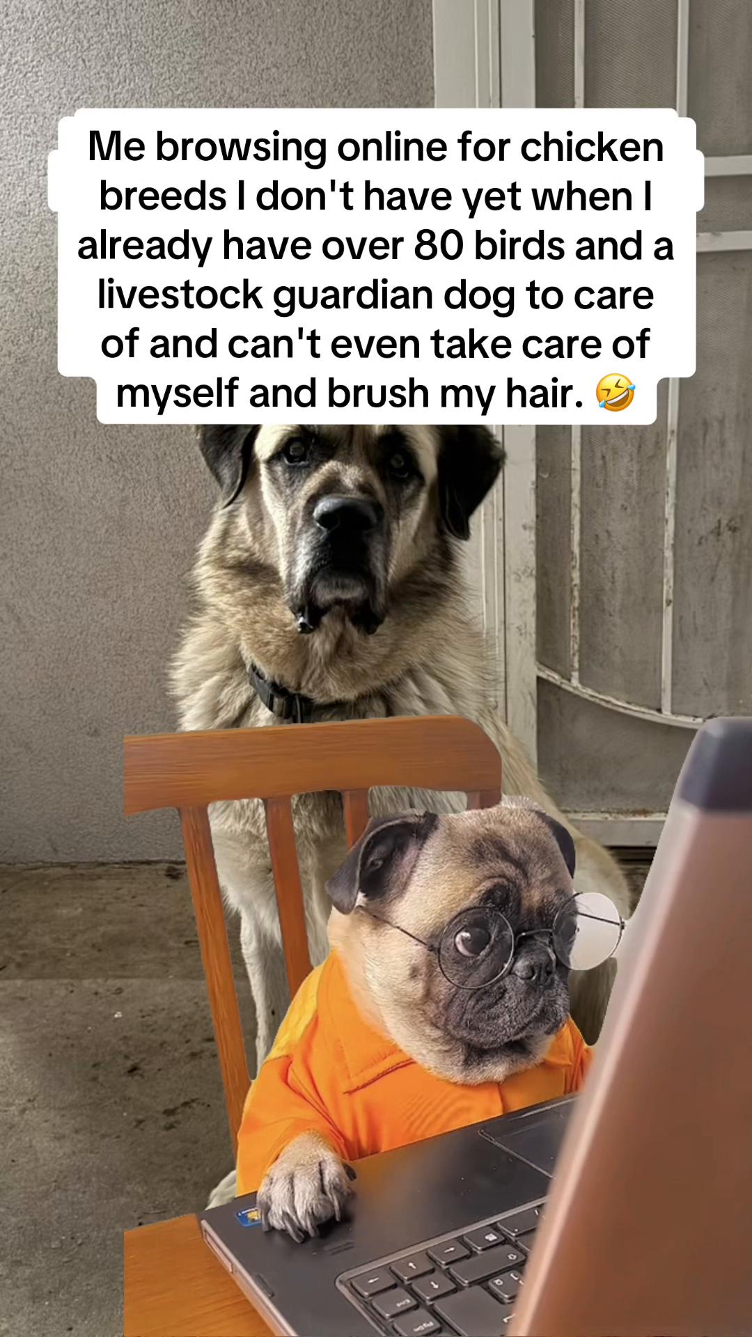 @The Real Estate Chick