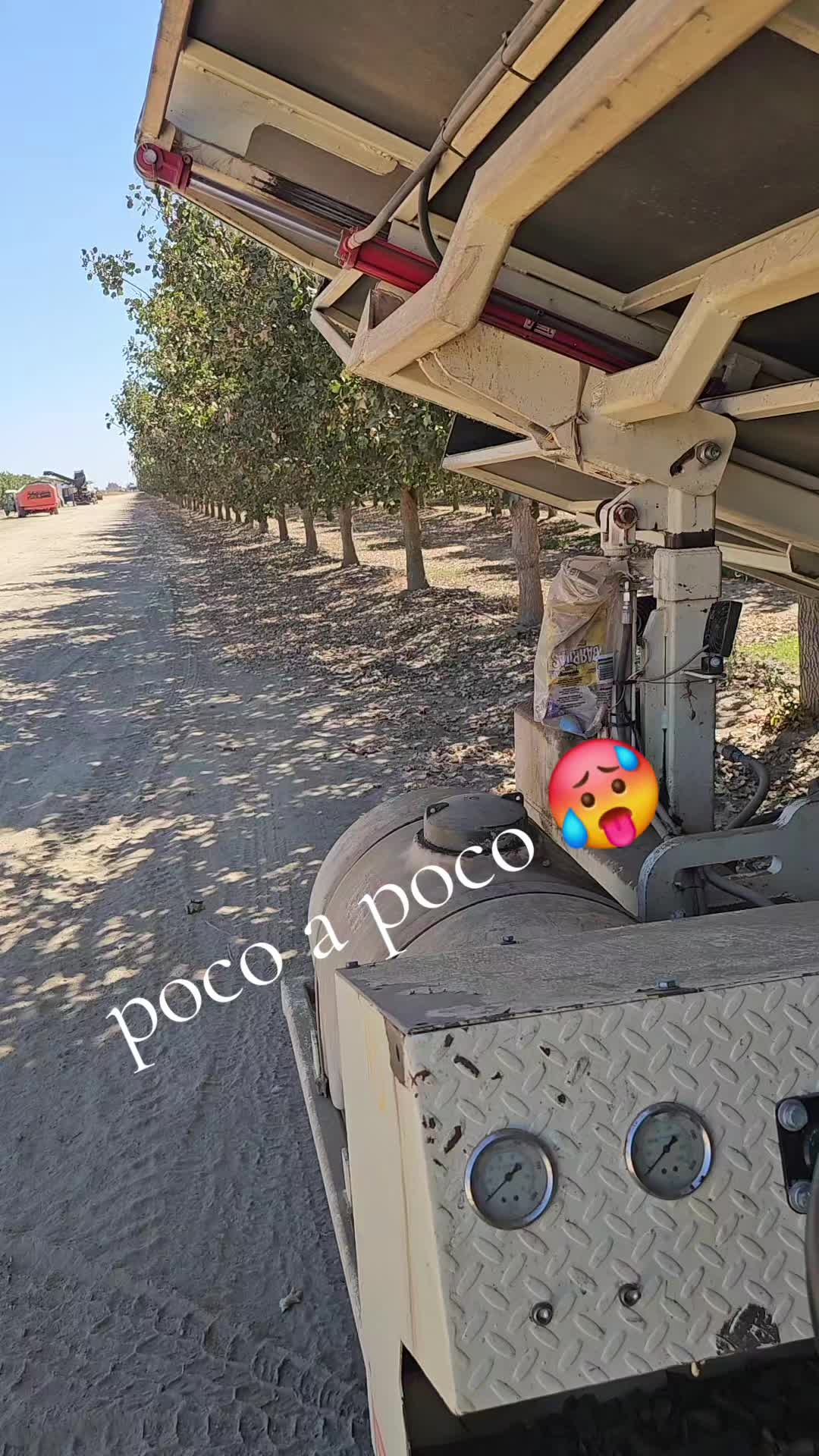 @fulgencio🤠