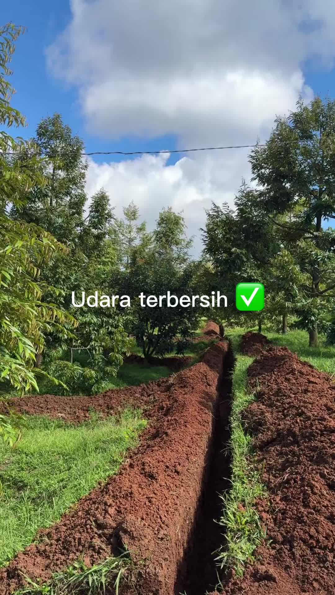 @AA KADU