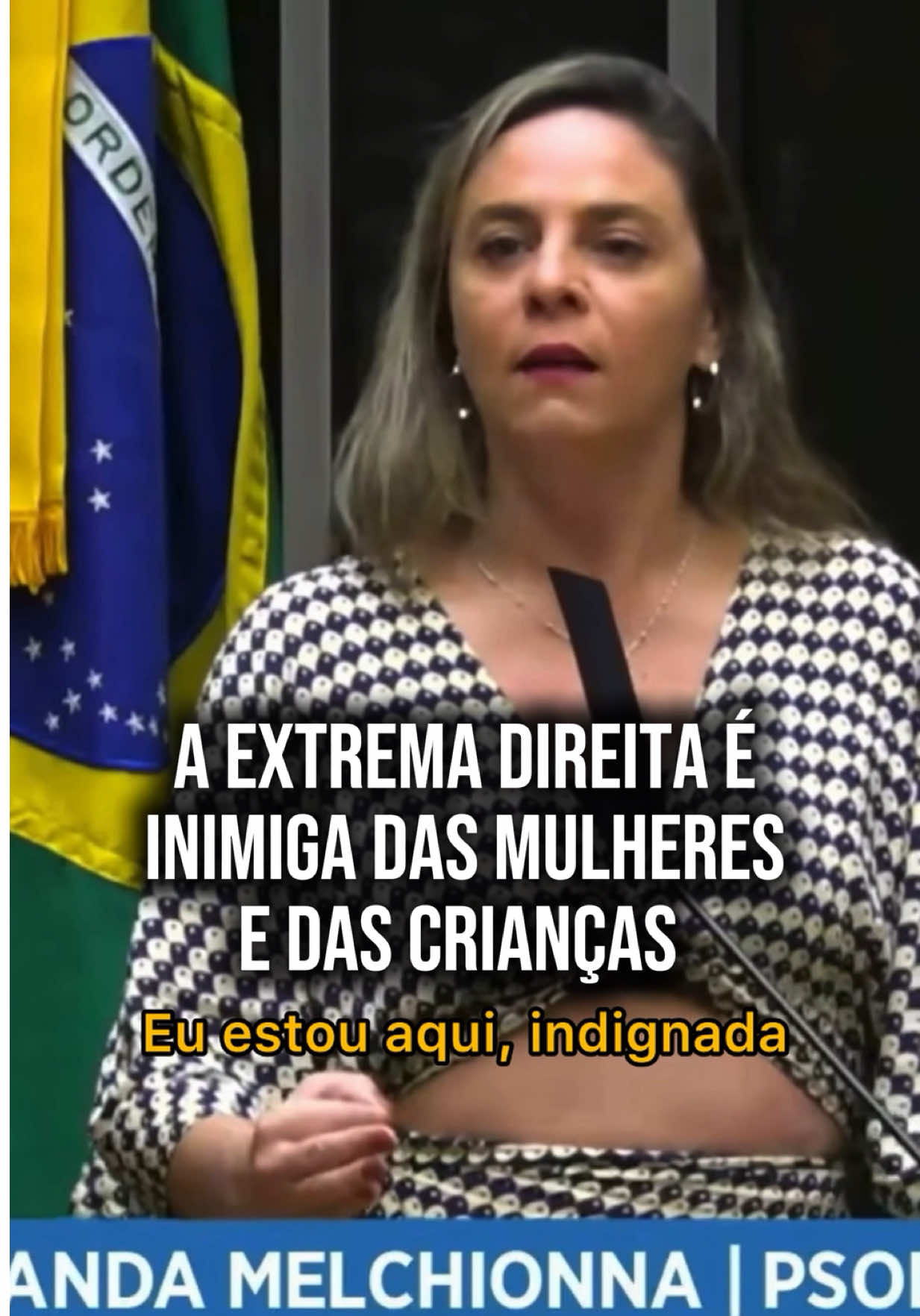 @Fernanda Melchionna