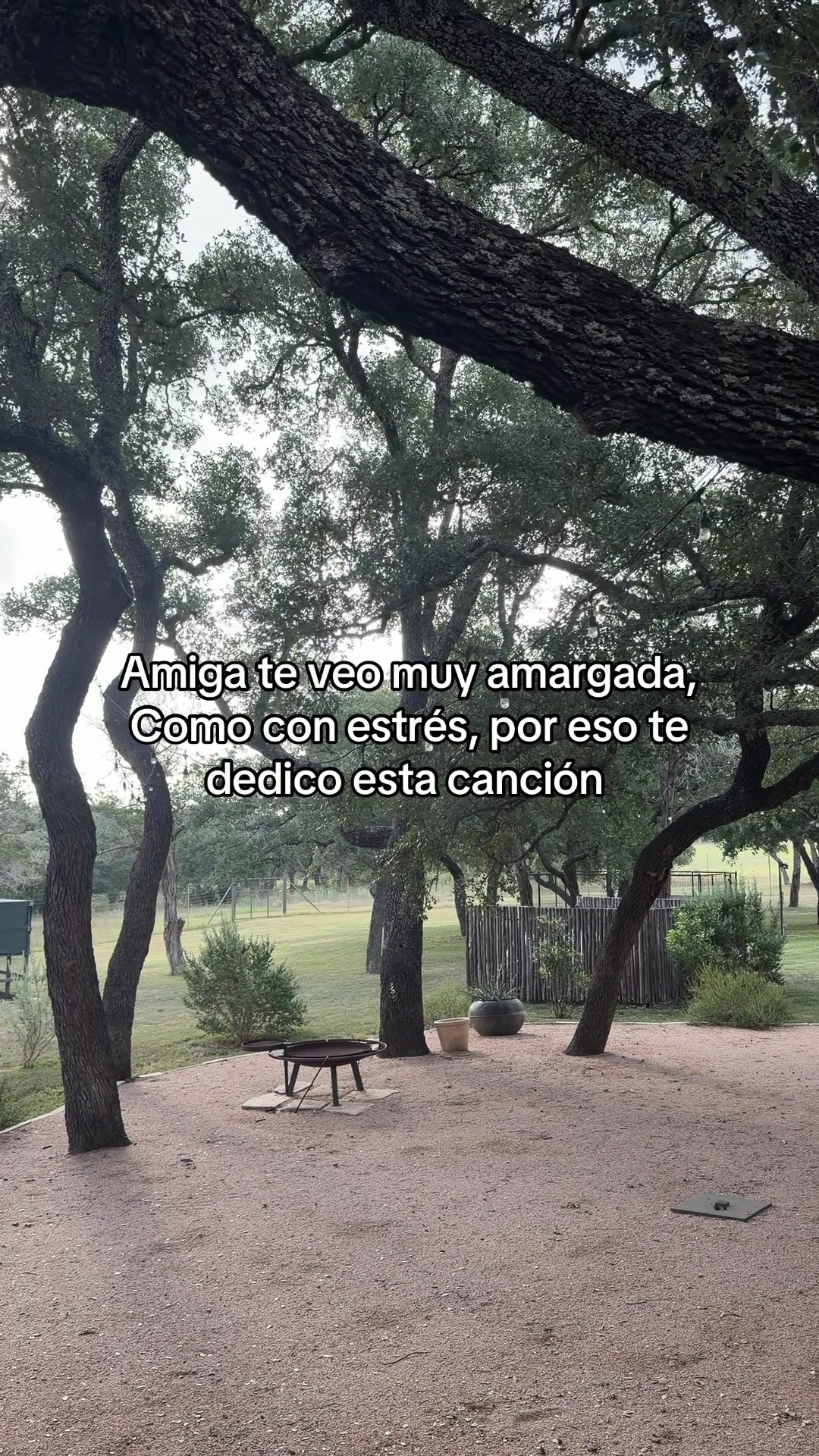 @El Trevol
