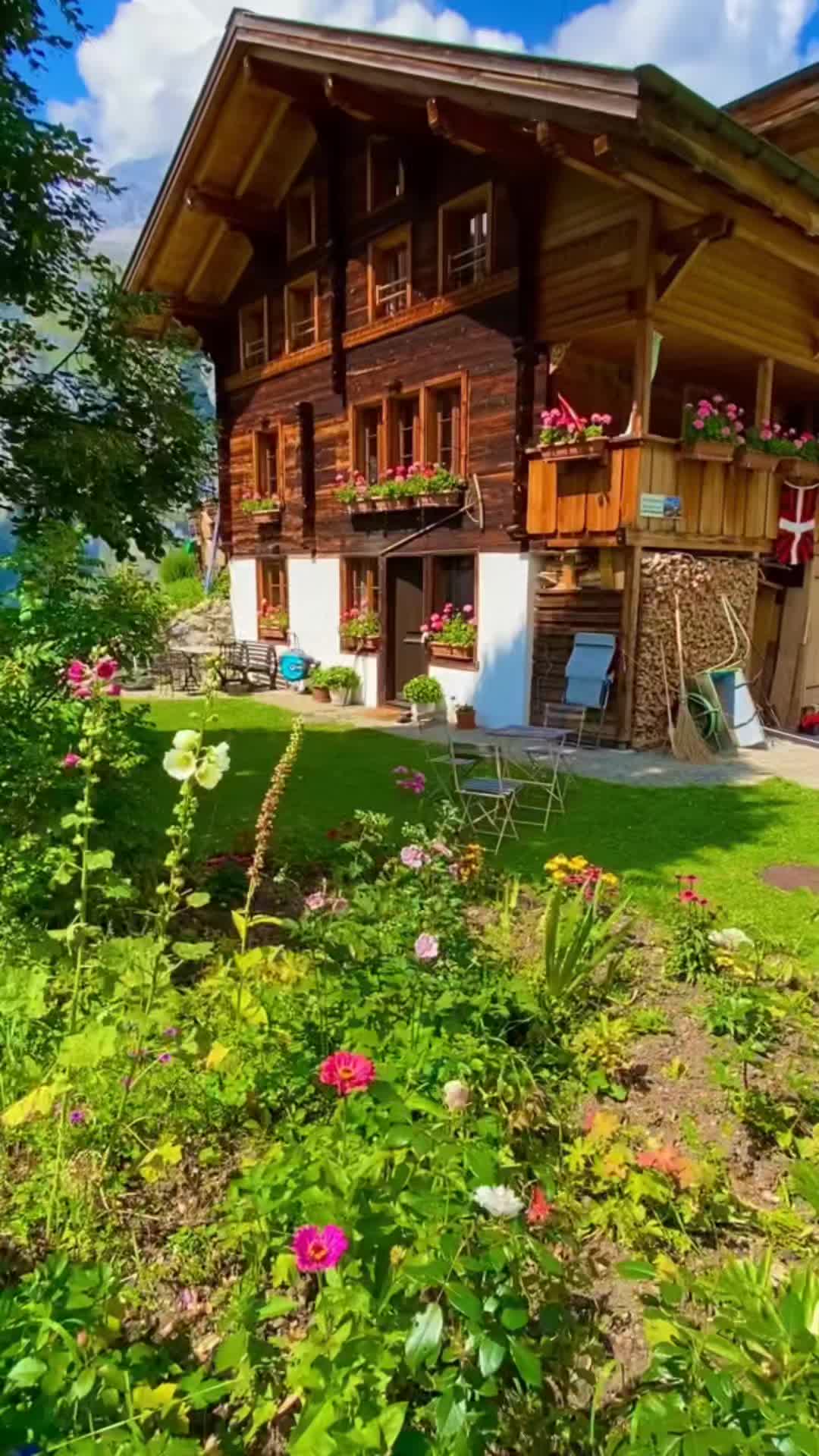 @🌿Relaxing Nature World🌿